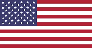 american flag-Mount Prospect